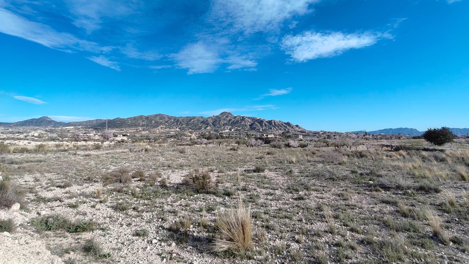 Finca/Maison de Campagne à vendre à Abanilla - 19 900 € (Ref: 9598651)