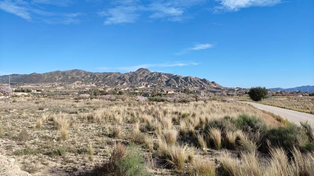 Finca/Maison de Campagne à vendre à Abanilla - 19 900 € (Ref: 9598651)