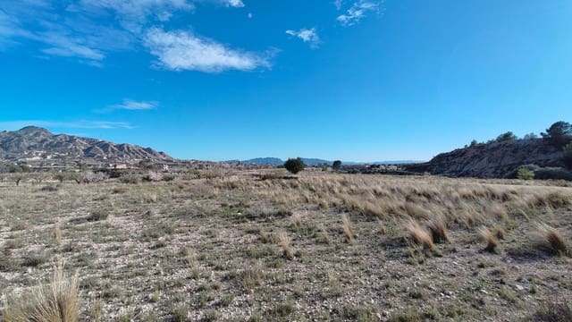 Finca/Maison de Campagne à vendre à Abanilla - 19 900 € (Ref: 9598651)