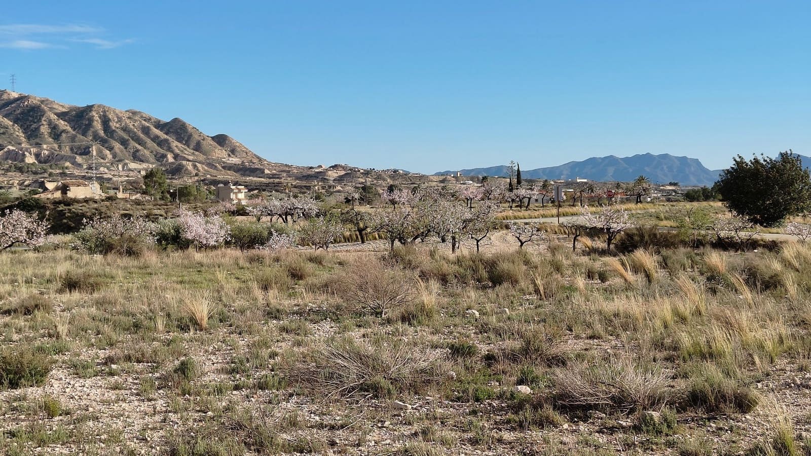 Finca/Maison de Campagne à vendre à Abanilla - 19 900 € (Ref: 9598651)