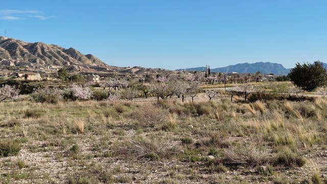 Finca/Maison de Campagne à vendre à Abanilla - 19 900 € (Ref: 9598651)