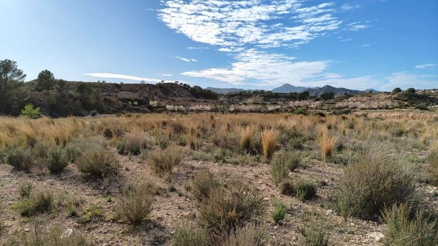 Finca/Maison de Campagne à vendre à Abanilla - 19 900 € (Ref: 9598651)