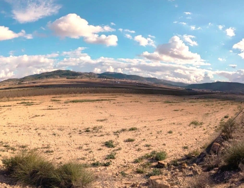 Finca/Country House for sale in Pinoso - € 28,900 (Ref: 9610800)