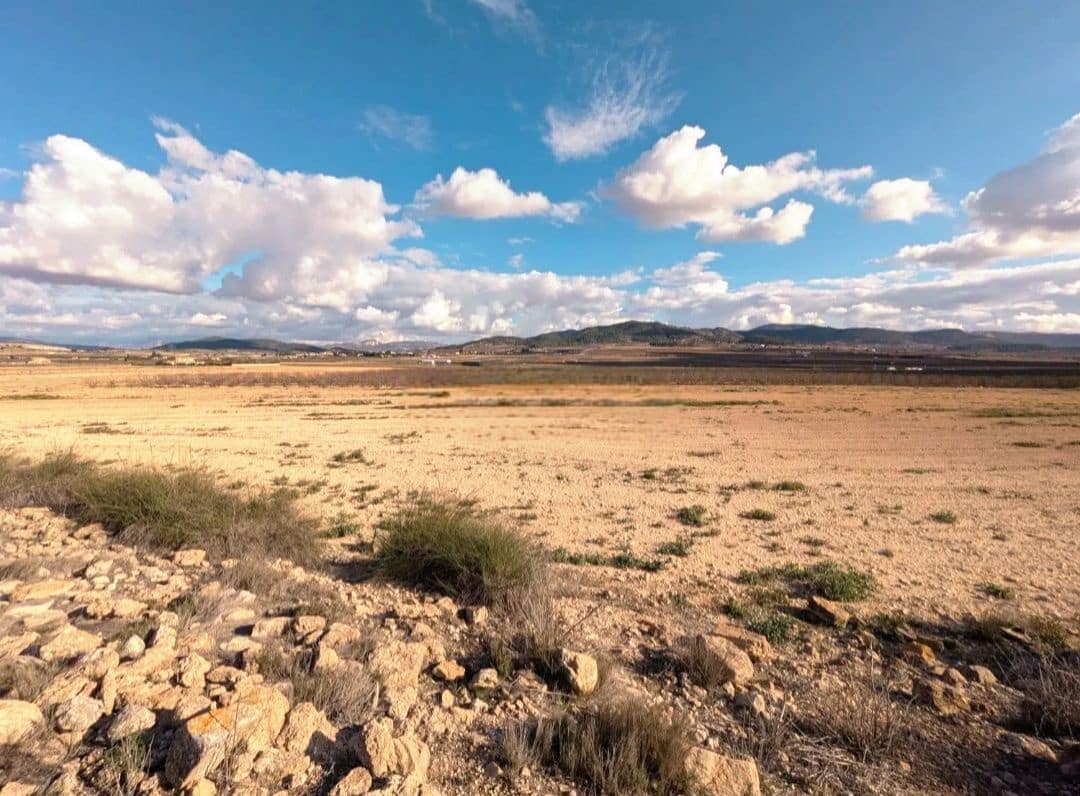 Finca/Country House for sale in Pinoso - € 28,900 (Ref: 9610800)