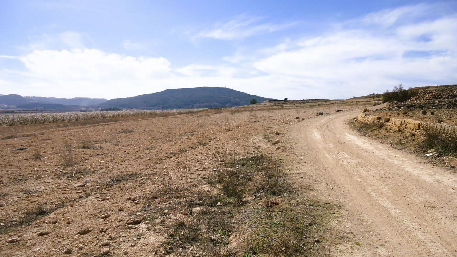 Finca/Country House for sale in Pinoso - € 28,900 (Ref: 9610800)