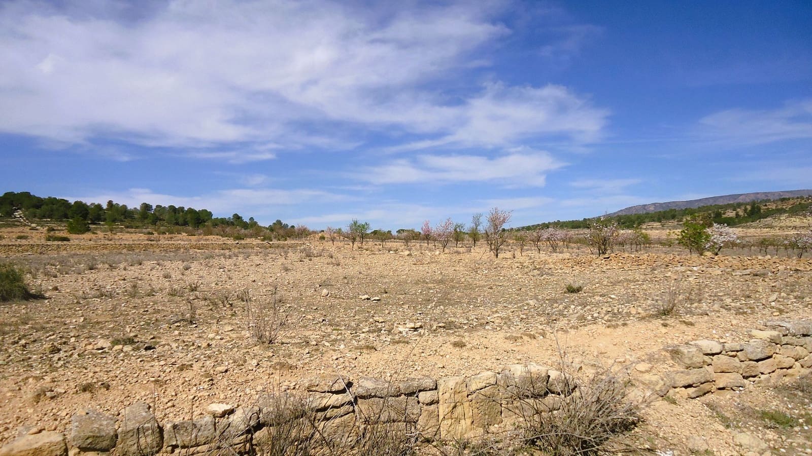 Finca/Country House for sale in Pinoso - € 28,900 (Ref: 9610800)