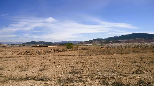 Finka/Dom wiejski na sprzedaż w Pinoso - 28 900 € (Ref: 9610800)