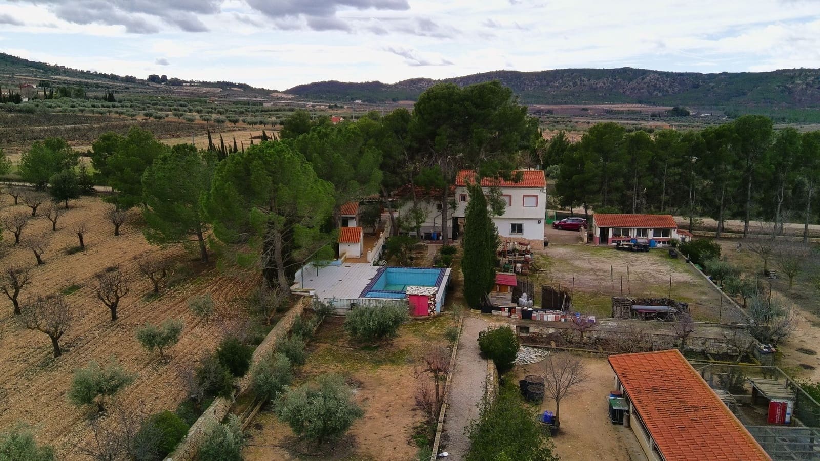 5 bedroom Villa for sale in Jumilla - € 294,900 (Ref: 9614678)