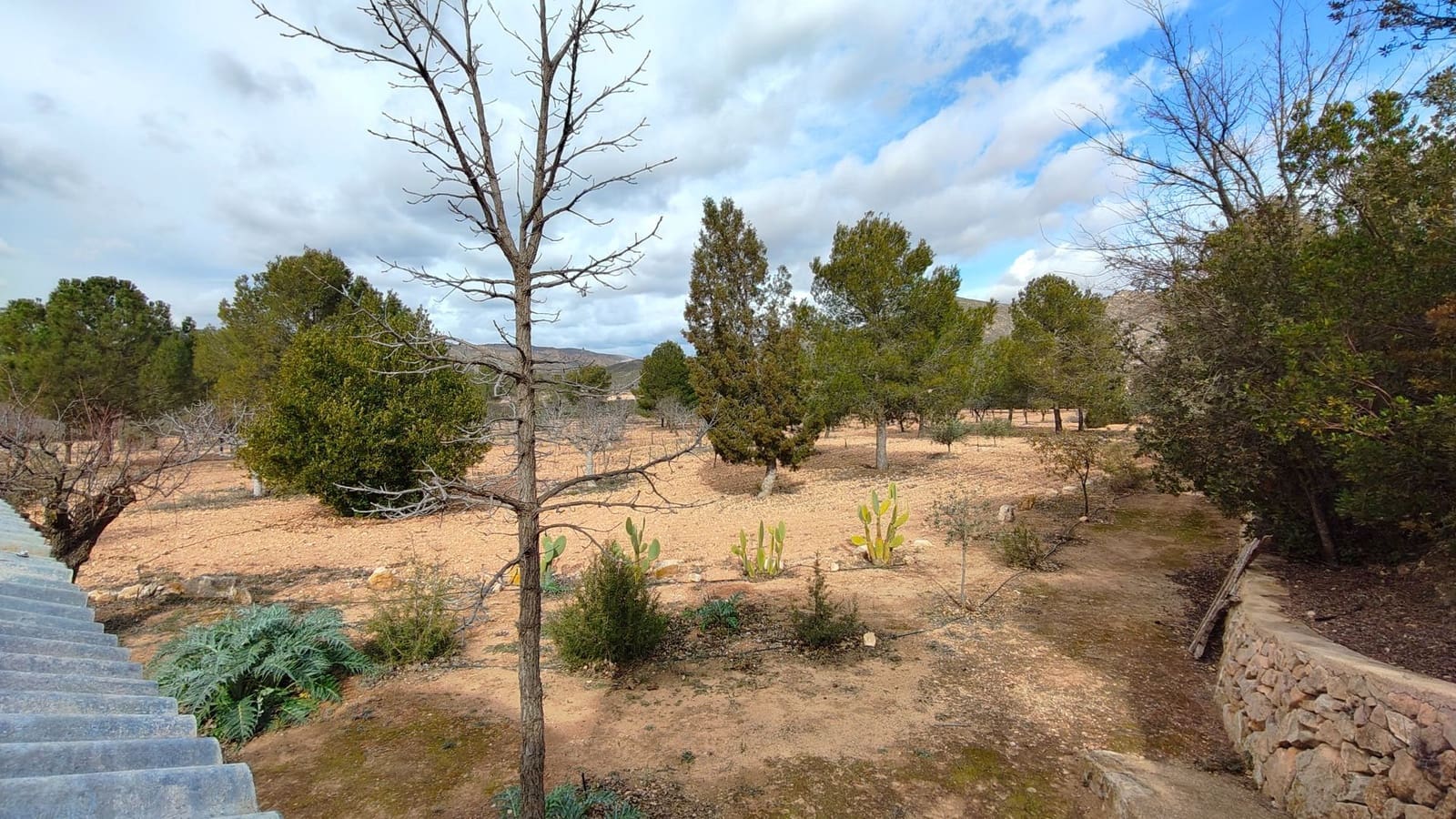 5 bedroom Villa for sale in Jumilla - € 294,900 (Ref: 9614678)