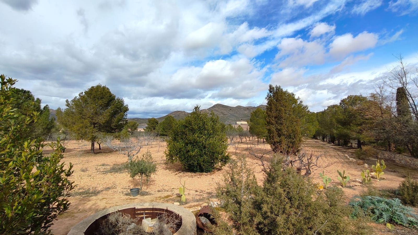 5 bedroom Villa for sale in Jumilla - € 294,900 (Ref: 9614678)