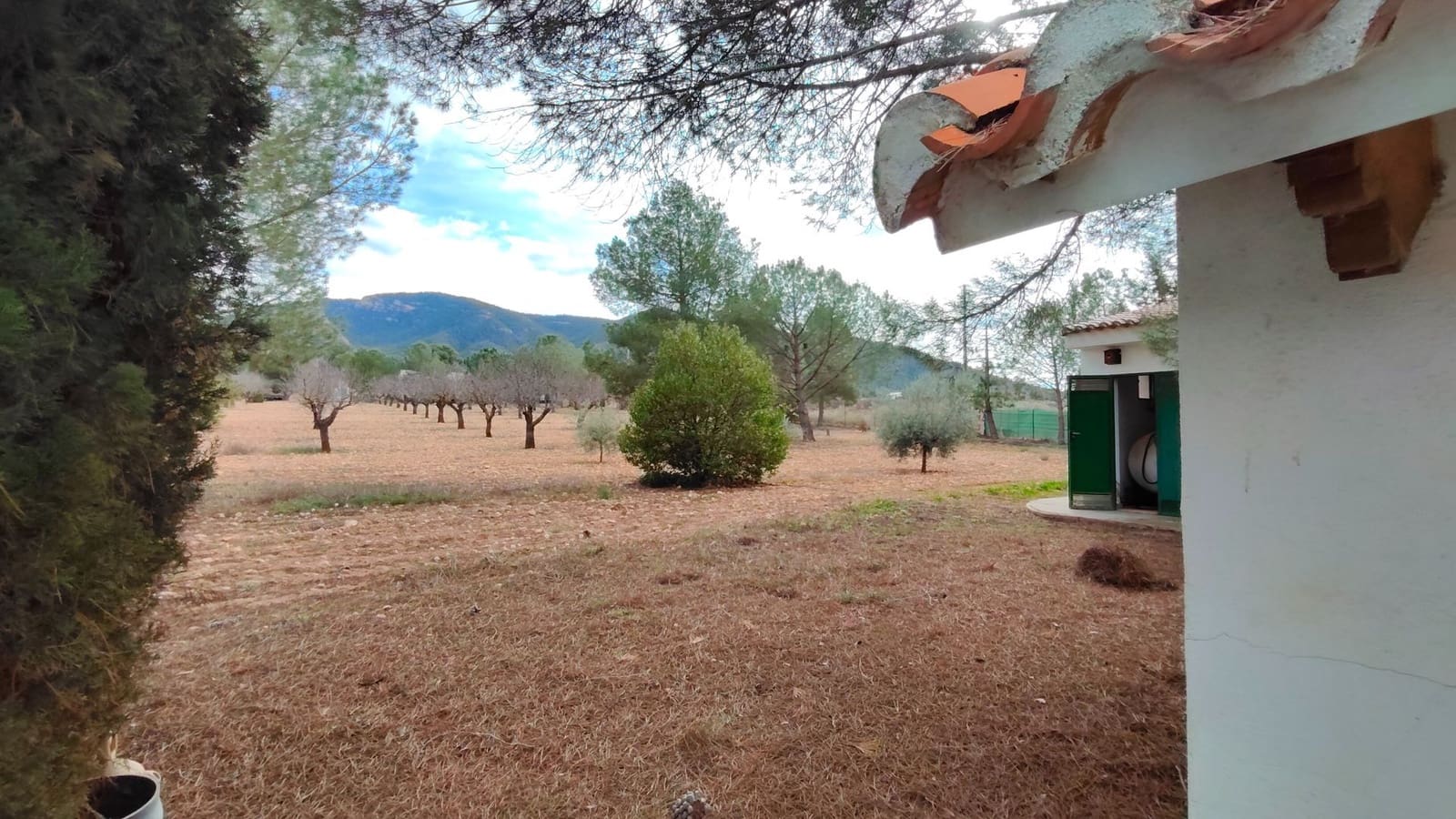 5 bedroom Villa for sale in Jumilla - € 294,900 (Ref: 9614678)