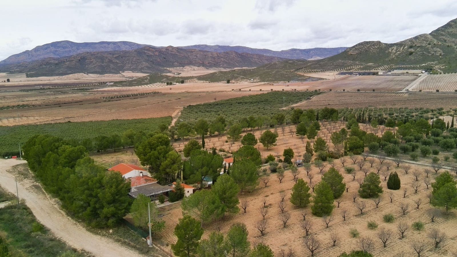 5 bedroom Villa for sale in Jumilla - € 294,900 (Ref: 9614678)