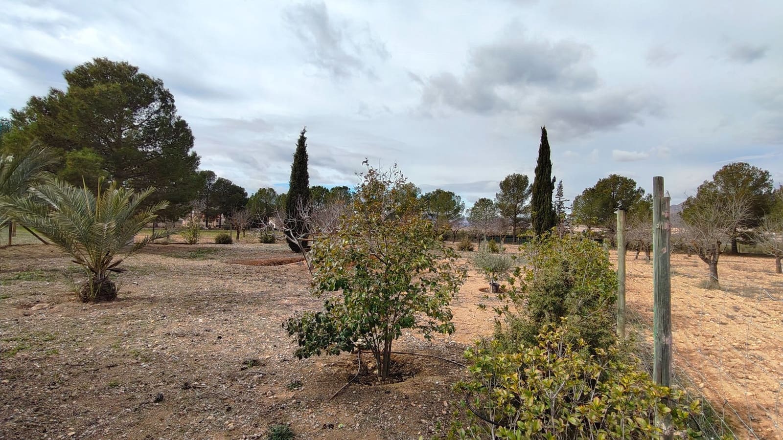 5 bedroom Villa for sale in Jumilla - € 294,900 (Ref: 9614678)