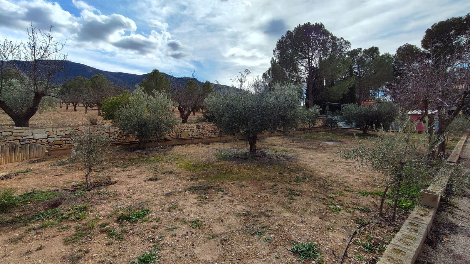 5 bedroom Villa for sale in Jumilla - € 294,900 (Ref: 9614678)