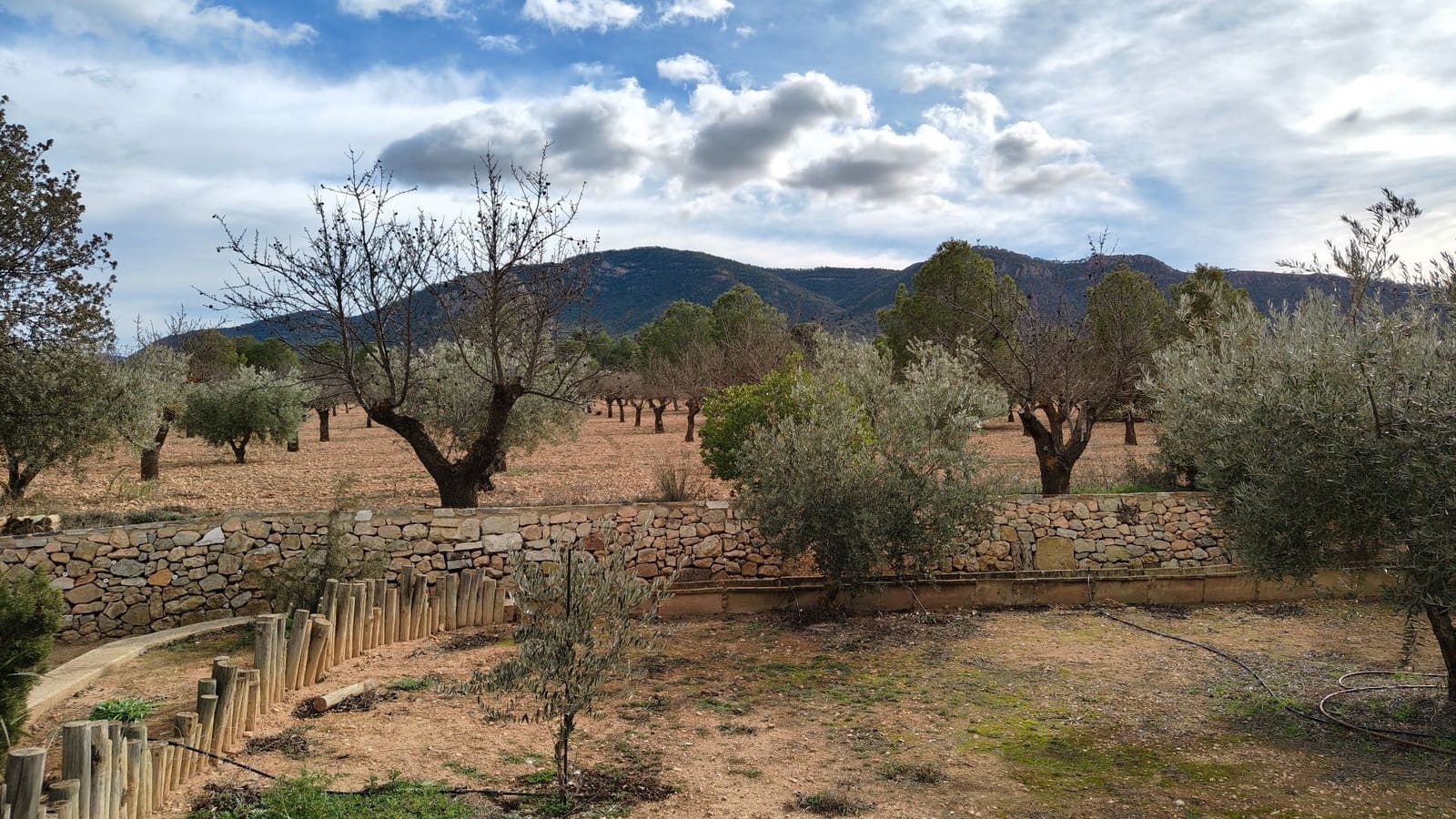 5 bedroom Villa for sale in Jumilla - € 294,900 (Ref: 9614678)