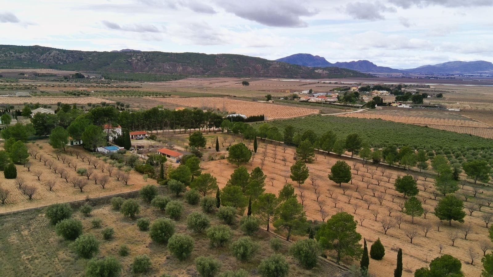 5 bedroom Villa for sale in Jumilla - € 294,900 (Ref: 9614678)
