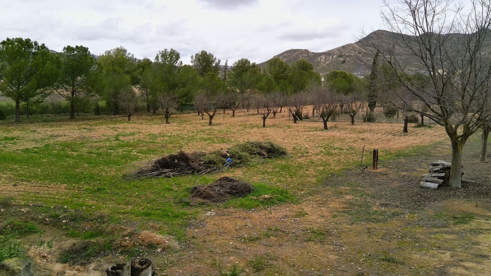 5 bedroom Villa for sale in Jumilla - € 294,900 (Ref: 9614678)