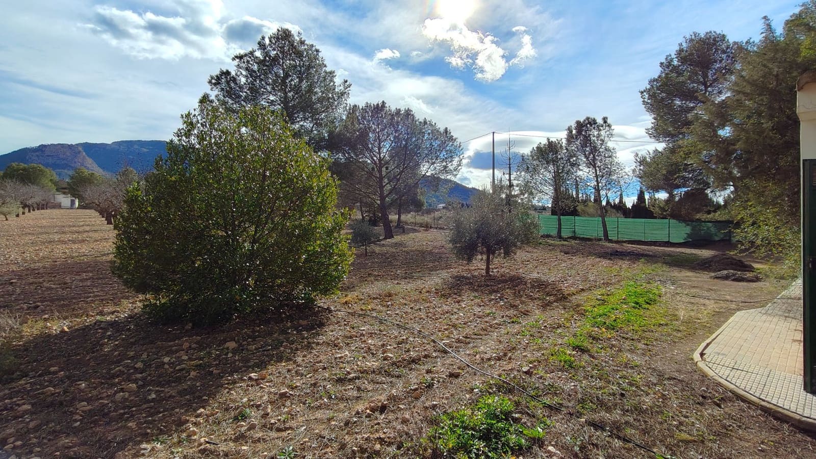 5 bedroom Villa for sale in Jumilla - € 294,900 (Ref: 9614678)