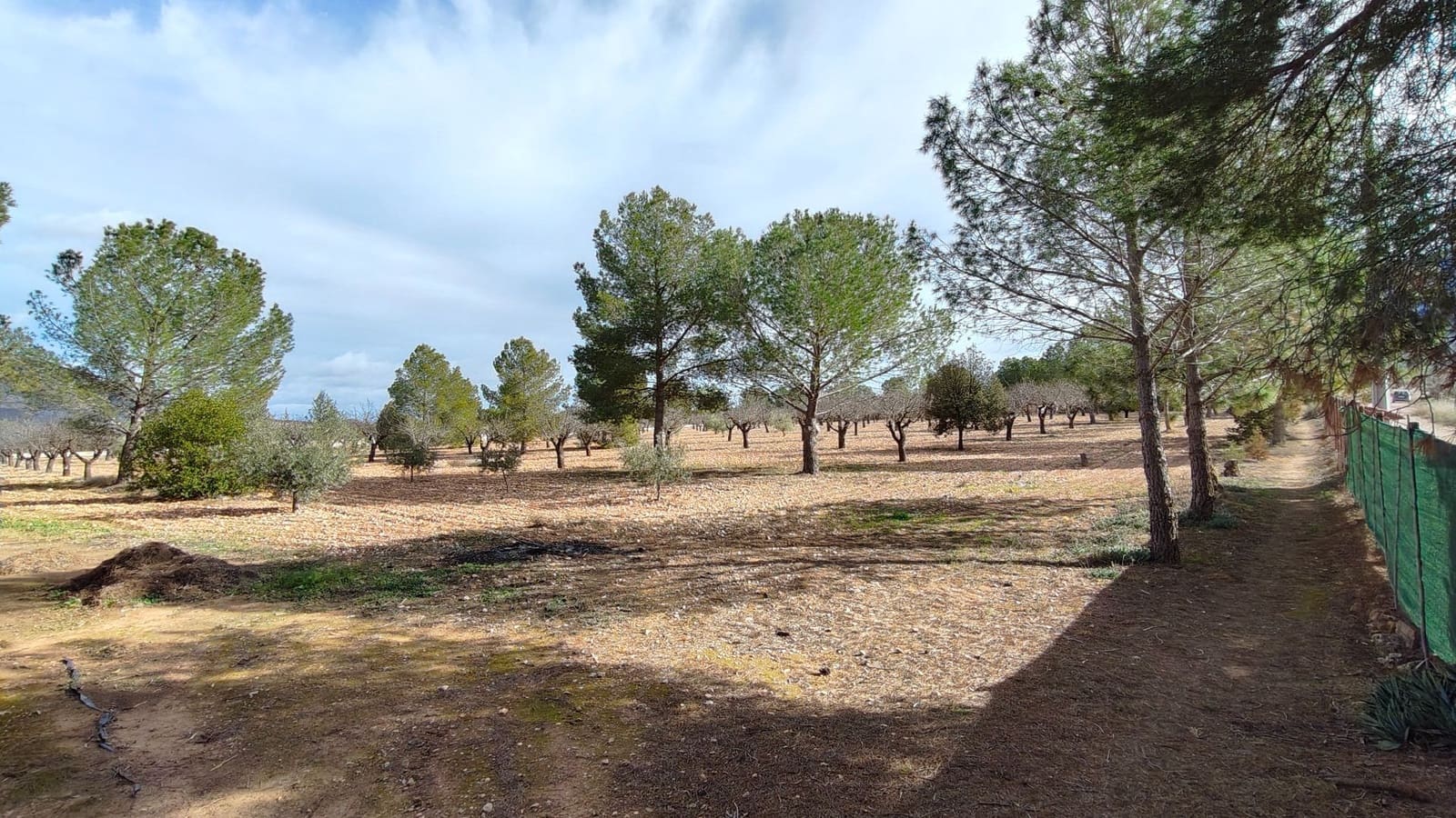 5 bedroom Villa for sale in Jumilla - € 294,900 (Ref: 9614678)