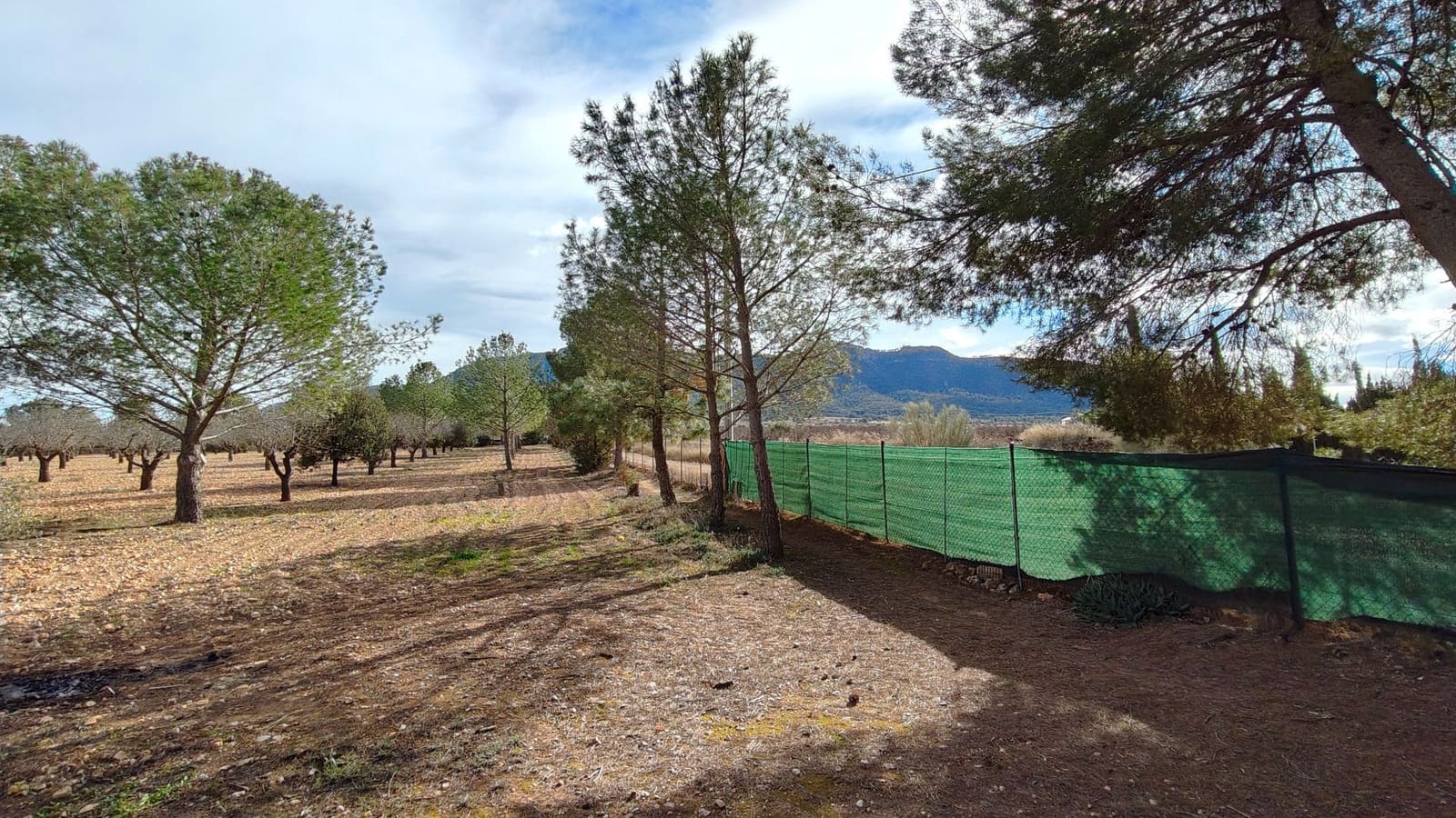 5 bedroom Villa for sale in Jumilla - € 294,900 (Ref: 9614678)