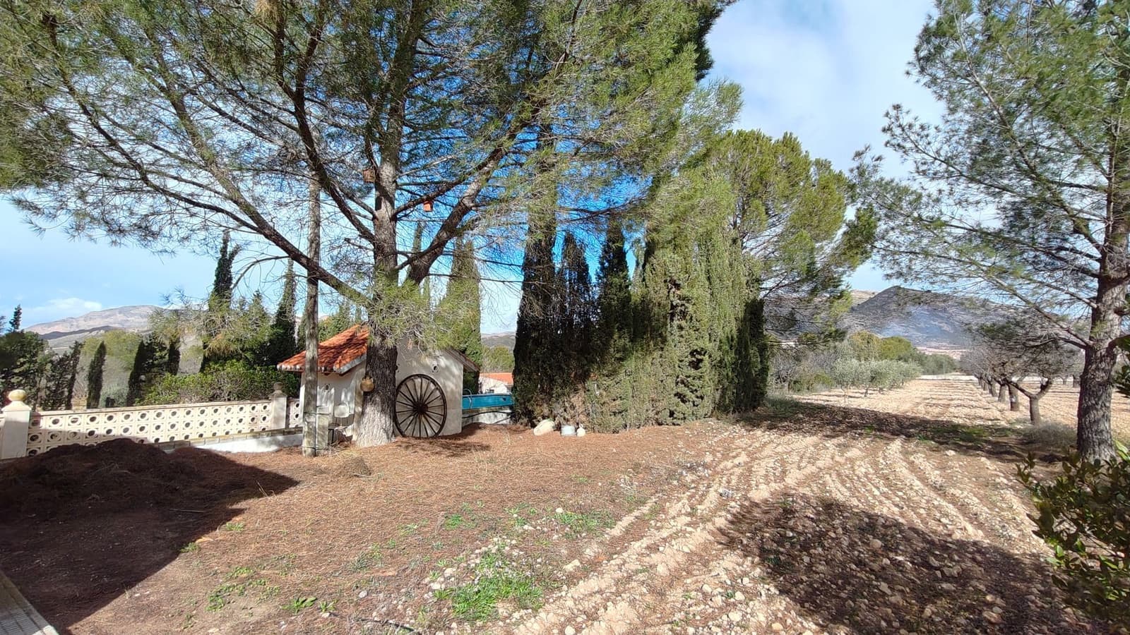 5 bedroom Villa for sale in Jumilla - € 294,900 (Ref: 9614678)