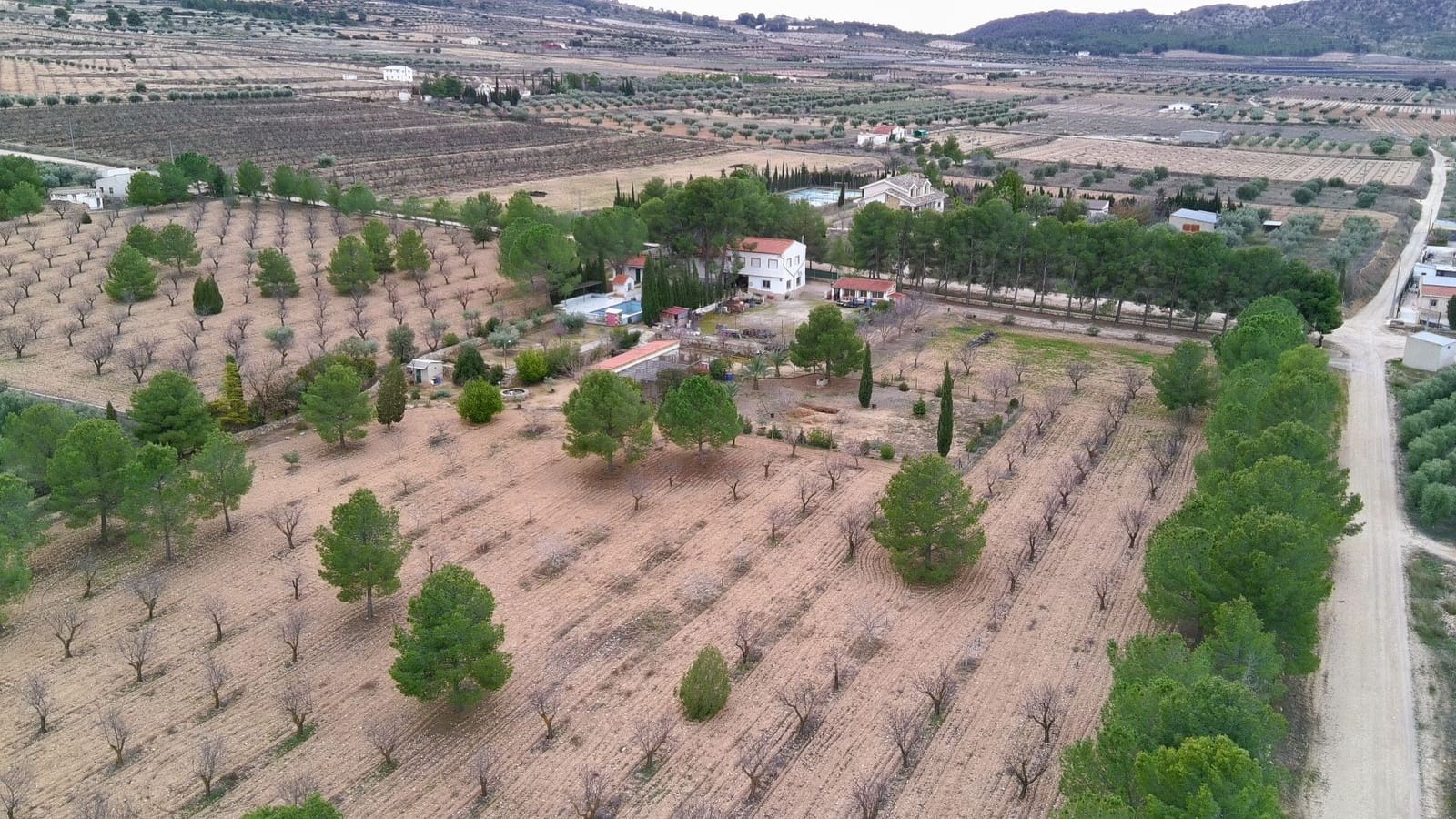 5 bedroom Villa for sale in Jumilla - € 294,900 (Ref: 9614678)