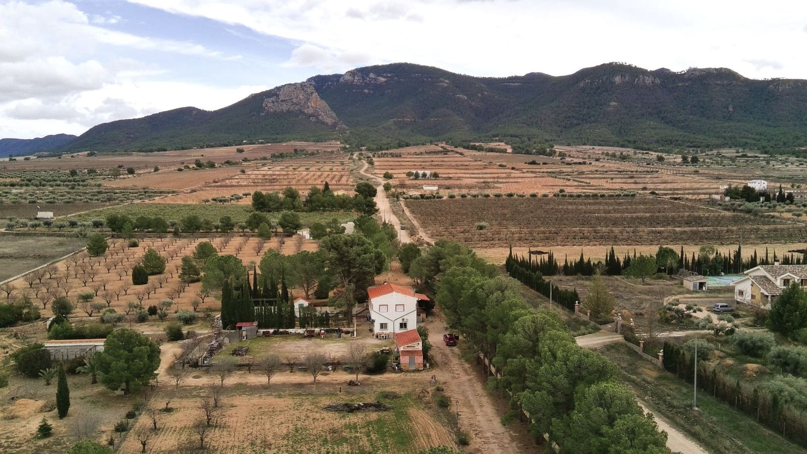 5 bedroom Villa for sale in Jumilla - € 294,900 (Ref: 9614678)