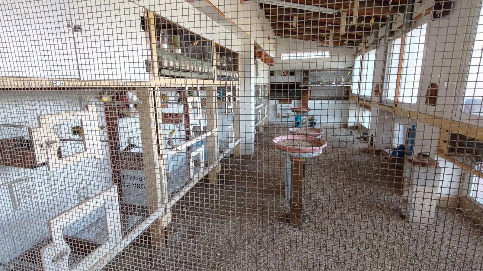 5 bedroom Villa for sale in Jumilla - € 294,900 (Ref: 9614678)