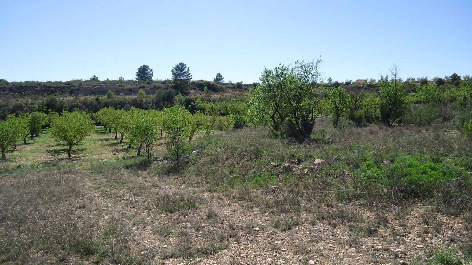 Finca/Landhuis te koop in Raspay - € 5.900 (Ref: 9689998)