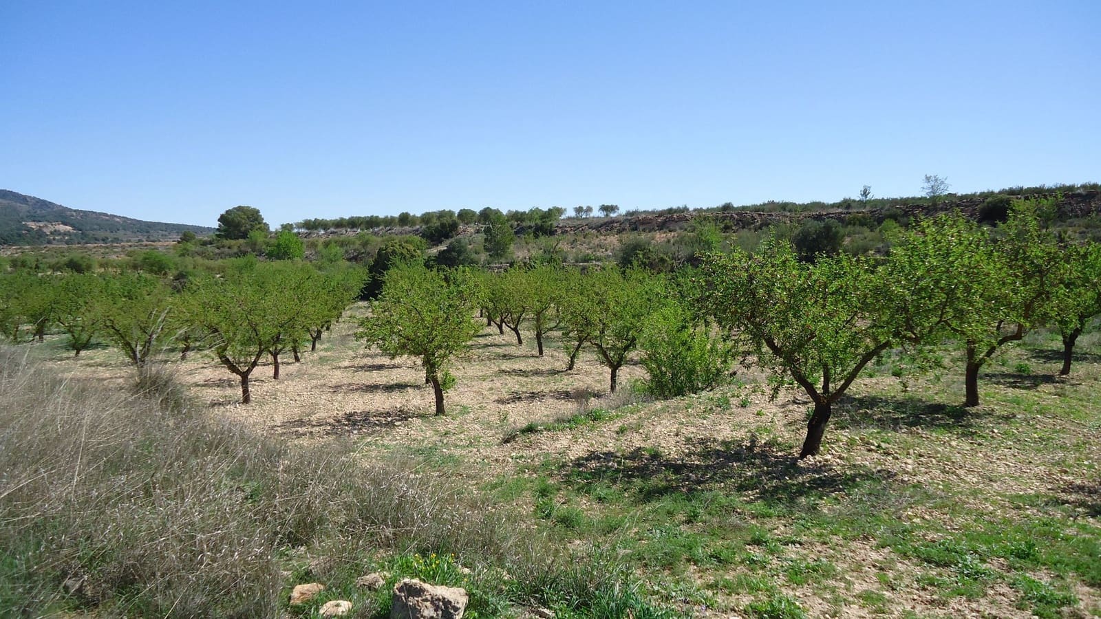 Finca/Landhuis te koop in Raspay - € 5.900 (Ref: 9689998)