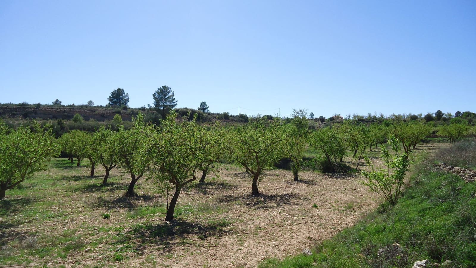 Finca/Landhuis te koop in Raspay - € 5.900 (Ref: 9689998)