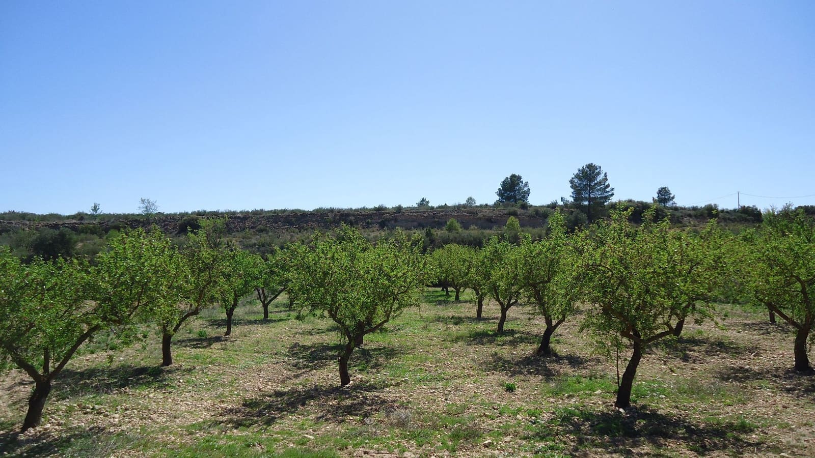 Finca/Landhuis te koop in Raspay - € 5.900 (Ref: 9689998)