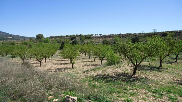 Finca/Landhuis te koop in Raspay, Yecla - € 5.900 (Ref: 9689998)