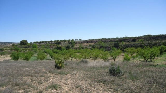 Finca/Landhuis te koop in Raspay, Yecla - € 5.900 (Ref: 9689998)