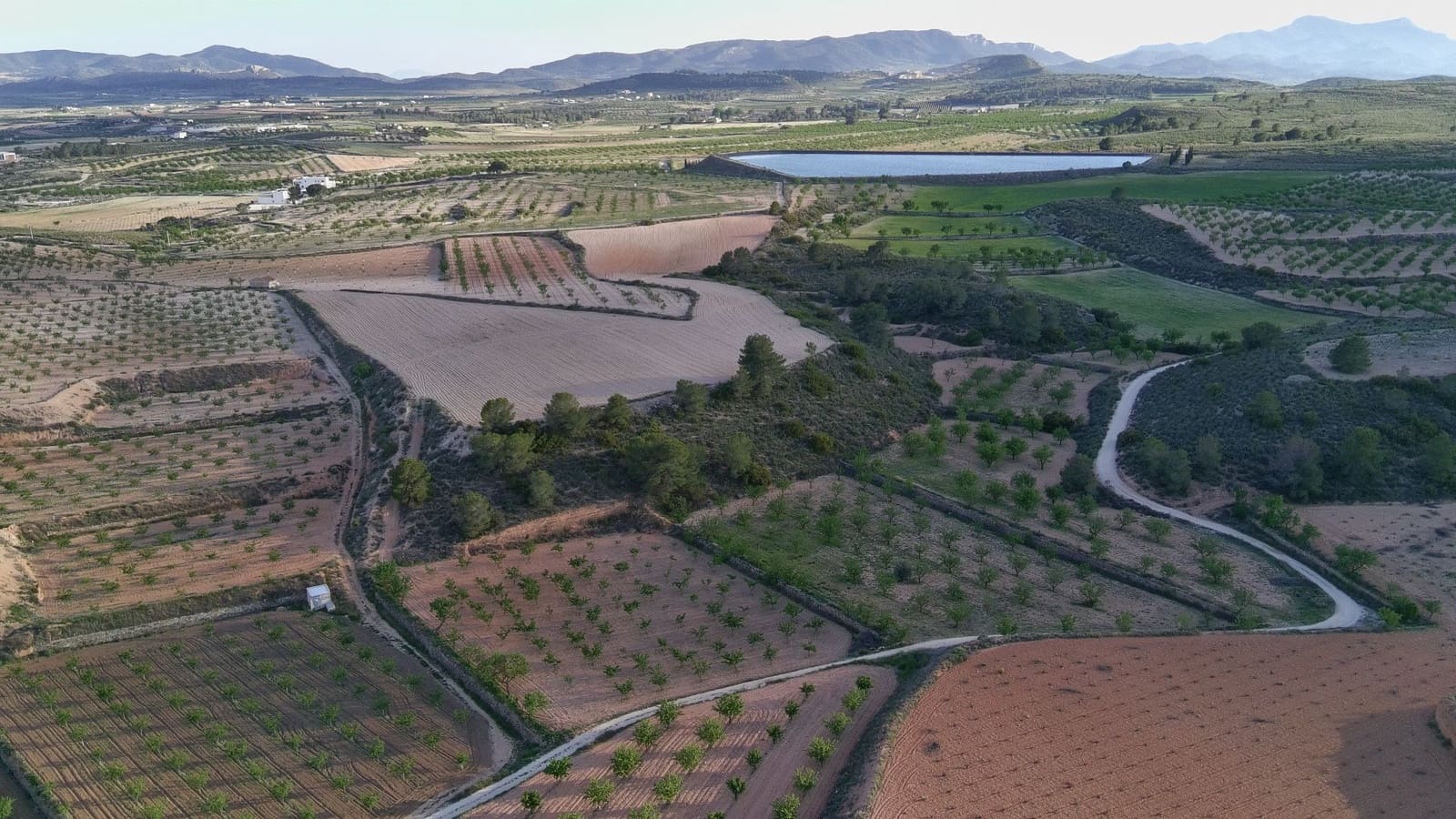 Finka/Dom wiejski na sprzedaż w Pinoso - 39 900 € (Ref: 9803897)