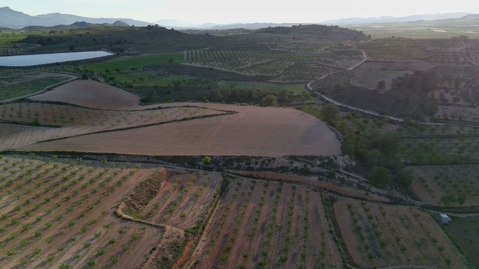 Finka/Dom wiejski na sprzedaż w Pinoso - 39 900 € (Ref: 9803897)