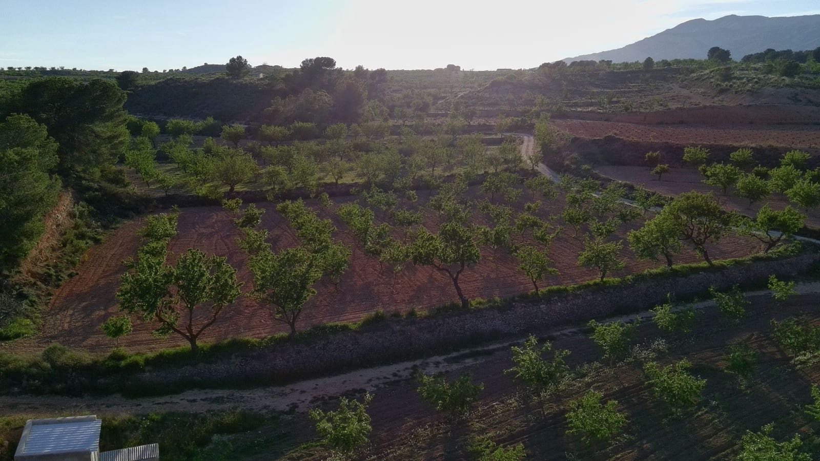 Finka/Dom wiejski na sprzedaż w Pinoso - 39 900 € (Ref: 9803897)