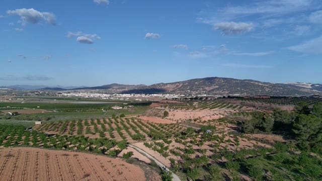 Finka/Dom wiejski na sprzedaż w Pinoso - 39 900 € (Ref: 9803897)