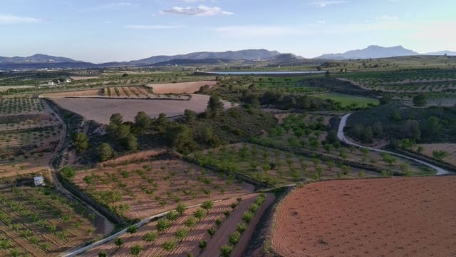 Finka/Dom wiejski na sprzedaż w Pinoso - 39 900 € (Ref: 9803897)