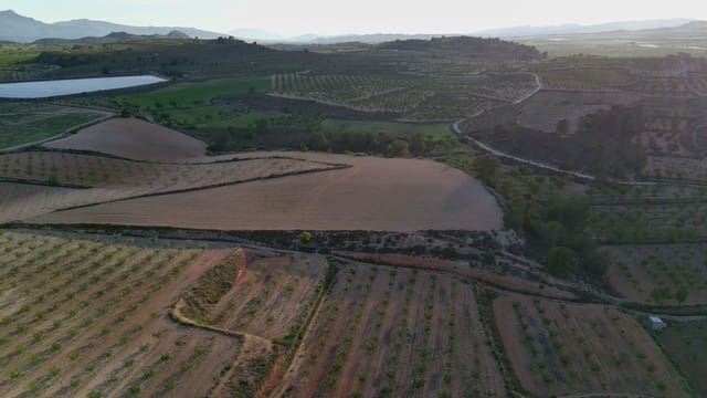 Finka/Dom wiejski na sprzedaż w Pinoso - 39 900 € (Ref: 9803897)