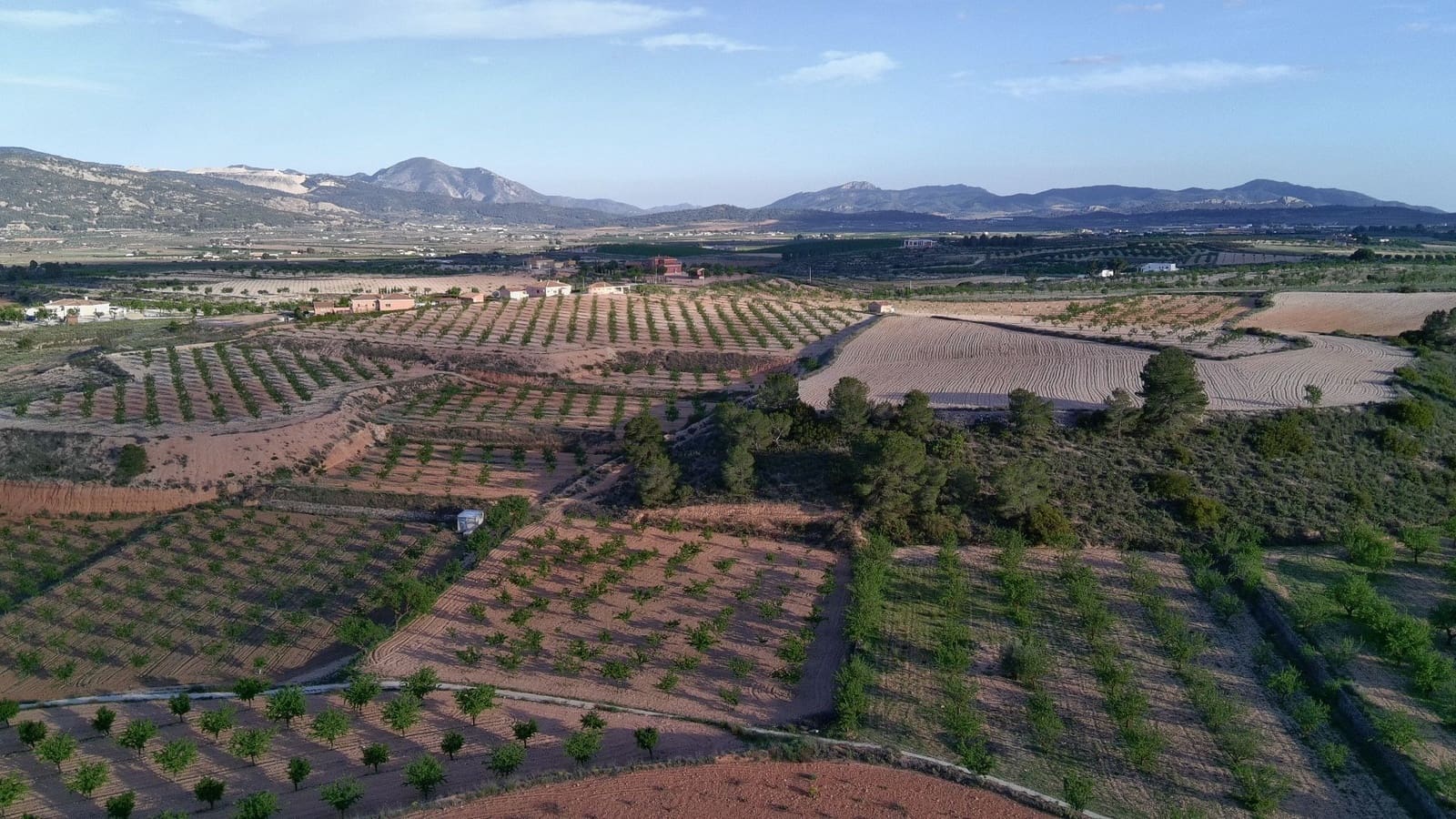 Finka/Dom wiejski na sprzedaż w Pinoso - 39 900 € (Ref: 9803897)