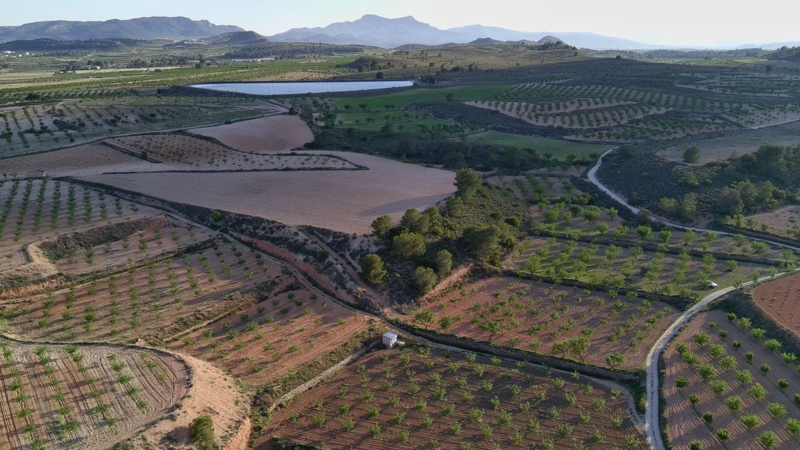 Finka/Dom wiejski na sprzedaż w Pinoso - 39 900 € (Ref: 9803897)