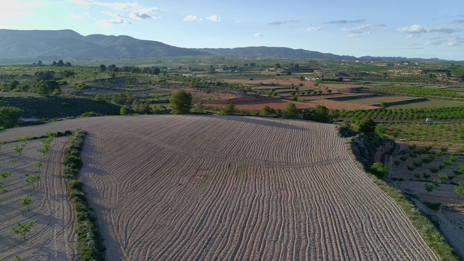 Finka/Dom wiejski na sprzedaż w Pinoso - 39 900 € (Ref: 9803897)