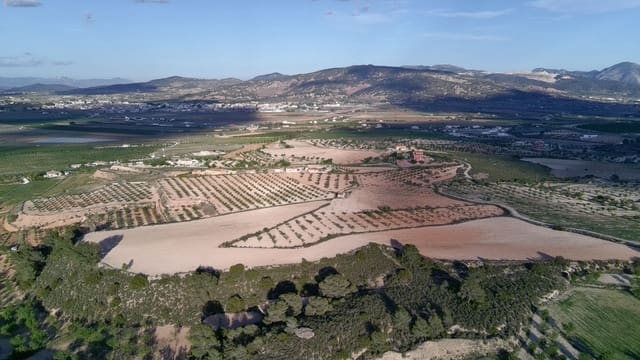 Finka/Dom wiejski na sprzedaż w Pinoso - 39 900 € (Ref: 9803897)