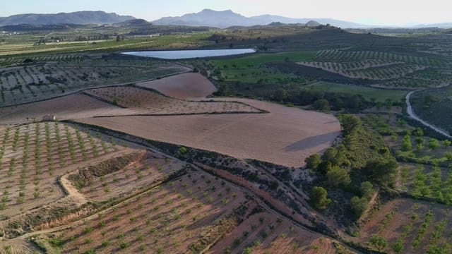 Finka/Dom wiejski na sprzedaż w Pinoso - 39 900 € (Ref: 9803897)