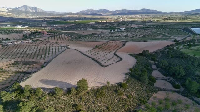 Finka/Dom wiejski na sprzedaż w Pinoso - 39 900 € (Ref: 9803897)