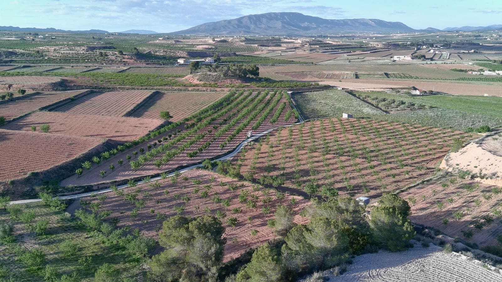 Finka/Dom wiejski na sprzedaż w Pinoso - 39 900 € (Ref: 9803897)