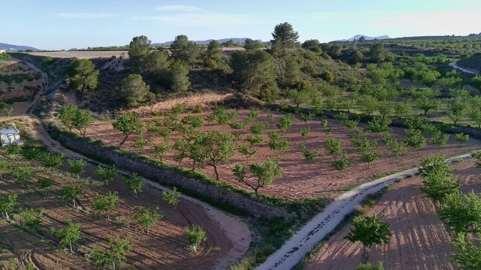 Finka/Dom wiejski na sprzedaż w Pinoso - 39 900 € (Ref: 9803897)