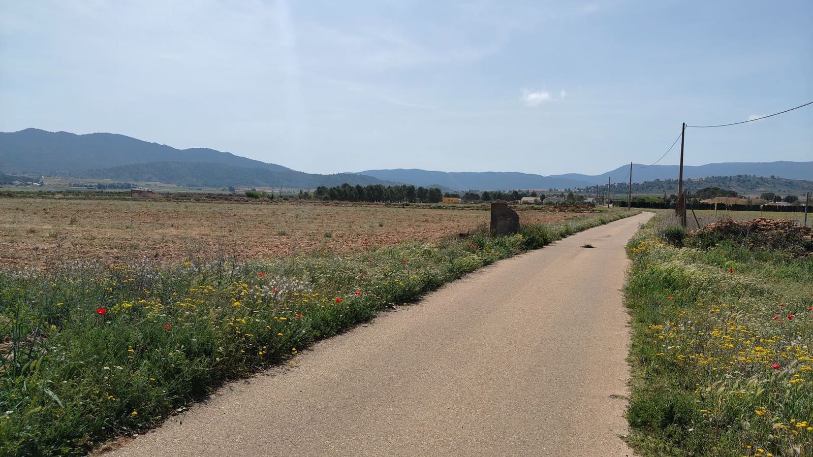 Finca/Landgut zu verkaufen in Yecla - 28.500 € (Ref: 9830620)