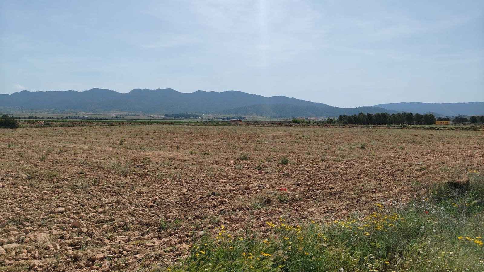 Finca/Landgut zu verkaufen in Yecla - 28.500 € (Ref: 9830620)